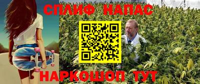 a pvp Можга