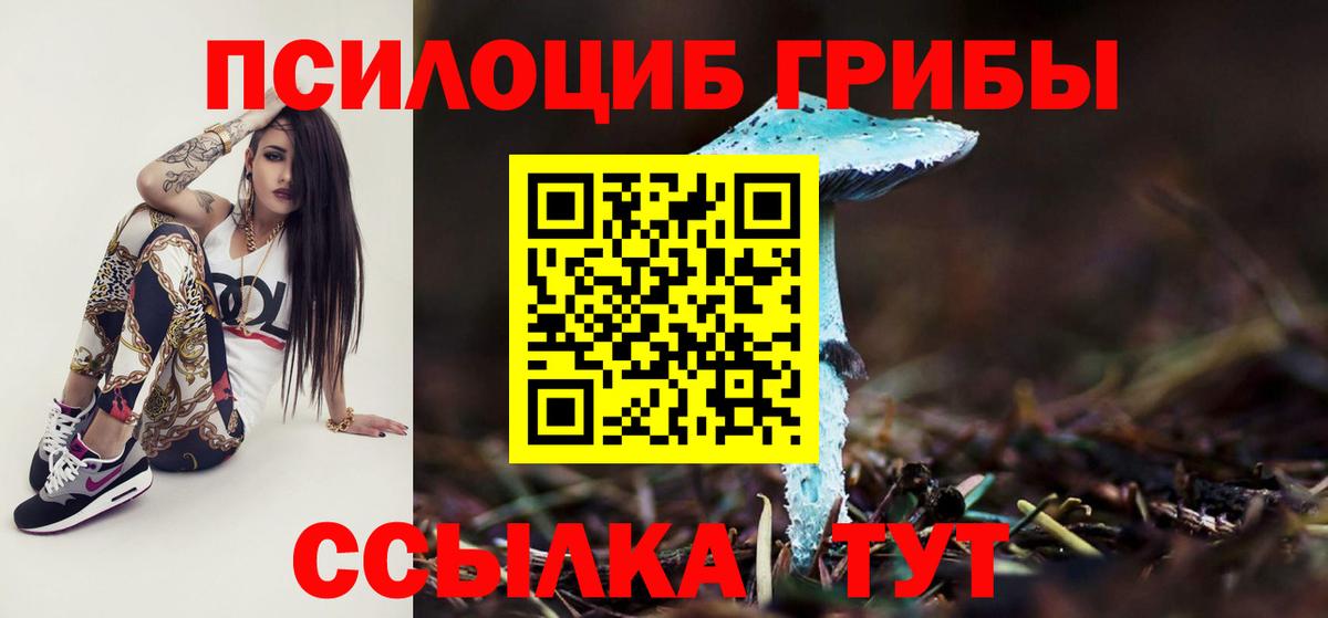 Якутск  как найти закладки  Вход с VPN  Псилоцибиновые грибы мицелий  Галлюциногенные грибы GOLDEN TEACHER 